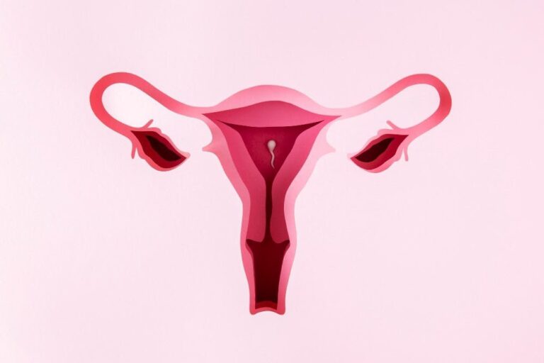 Different Types of Fibroids in Uterus: Understanding Your Condition