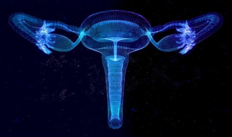 uterine fibroid embolization