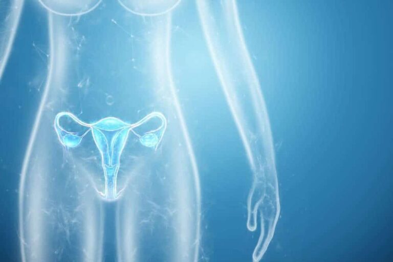 uterine fibroid embolization success rate